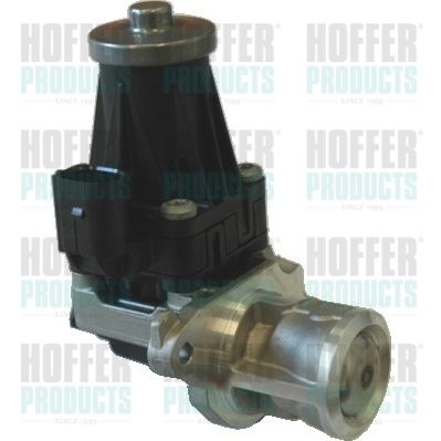 EGR Valve HOFFER 7518124