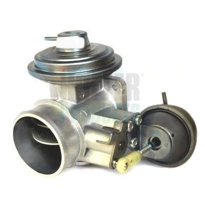 EGR Valve HOFFER 7518245