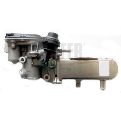 EGR Valve HOFFER 7518299
