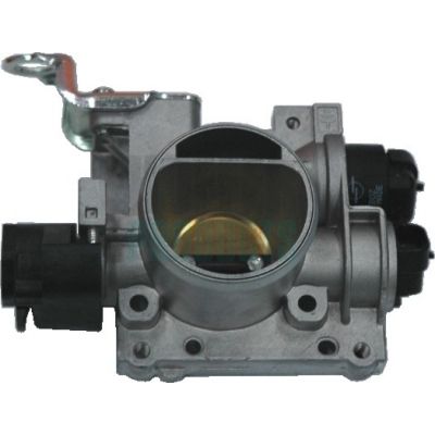 Throttle Body HOFFER 7519065