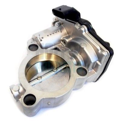 Throttle Body HOFFER 7519232