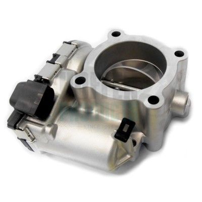 Throttle Body HOFFER 7519240