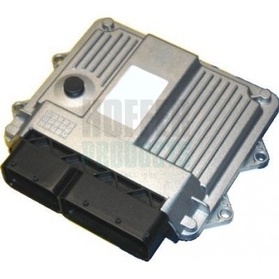 Control Unit, engine management HOFFER 7540021