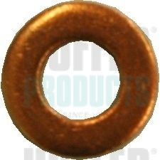 Seal Ring, nozzle holder HOFFER 8029162