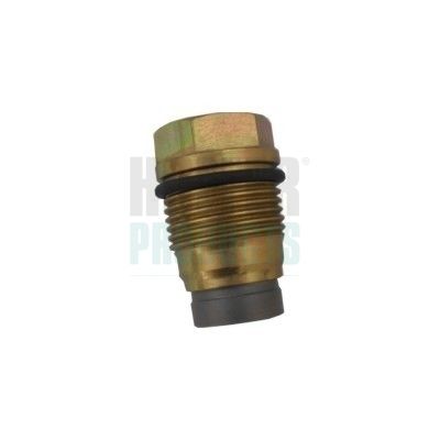 Pressure Limiting Valve, common rail system HOFFER 8029700