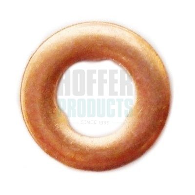 Seal Ring, nozzle holder HOFFER 8029705
