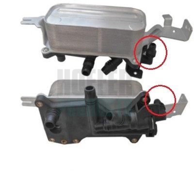 Oil Cooler, engine oil HOFFER 8095180