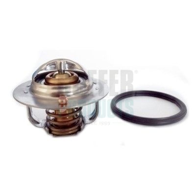 Thermostat, coolant HOFFER 8192833