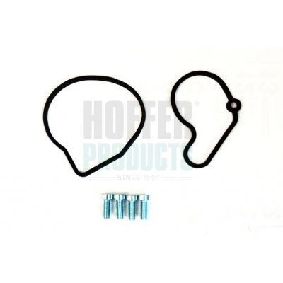 Repair Set, vacuum pump (braking system) HOFFER 91114