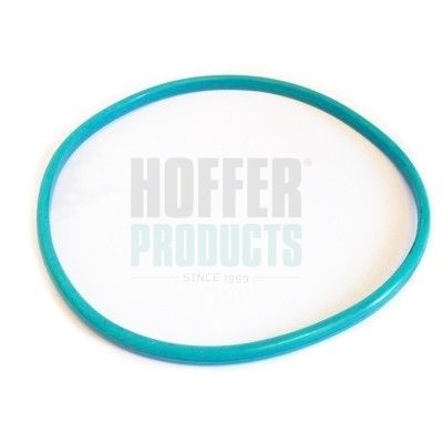 Seal, fuel tank cap HOFFER GSK03