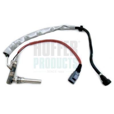 HOFFER H1954 Injection Unit, soot/particulate filter regeneration