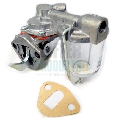 Fuel Pump HOFFER HPON139