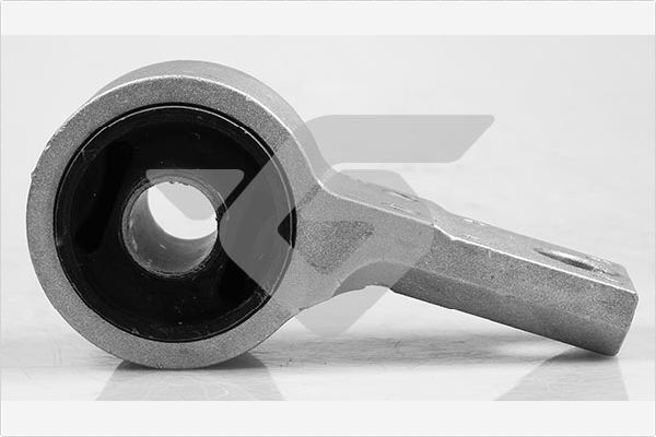 HUTCHINSON 590195 Mounting, control/trailing arm