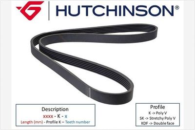 V-Ribbed Belt HUTCHINSON 698 K 3
