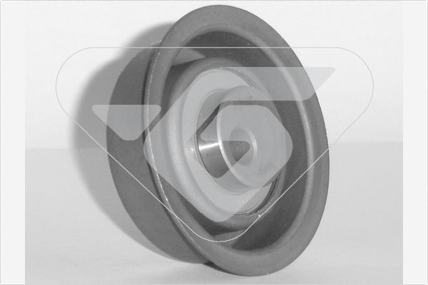 HUTCHINSON HTG 254 Tensioner Pulley, timing belt