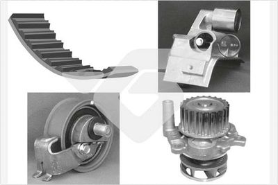 Water Pump & Timing Belt Kit HUTCHINSON KH 166WP51