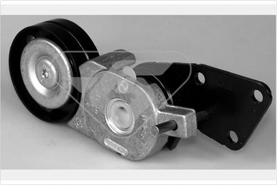 Tensioner Pulley, V-ribbed belt HUTCHINSON T0261
