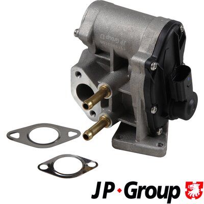 JP GROUP 1119903100 EGR Valve