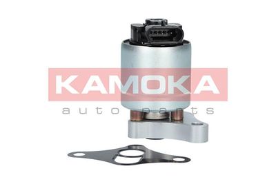 EGR Valve KAMOKA 19002