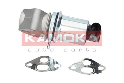 EGR Valve KAMOKA 19006