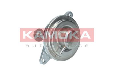 EGR Valve KAMOKA 19012