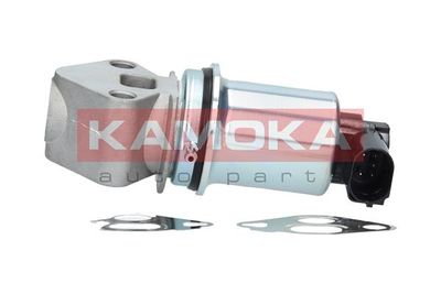 EGR Valve KAMOKA 19017