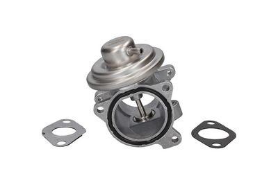 EGR Valve KAMOKA 19019