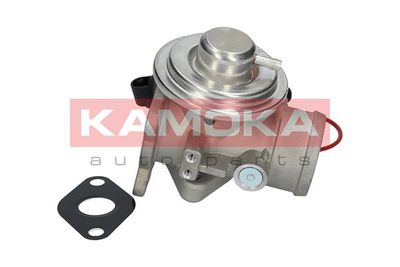 EGR Valve KAMOKA 19025