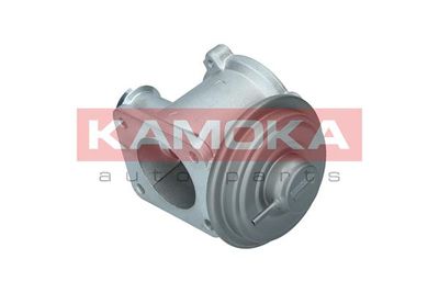 EGR Valve KAMOKA 19062