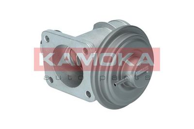 EGR Valve KAMOKA 19064