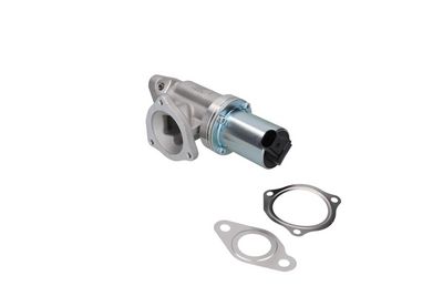 EGR Valve KAMOKA 19065