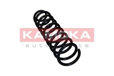 Suspension Spring KAMOKA 2110617