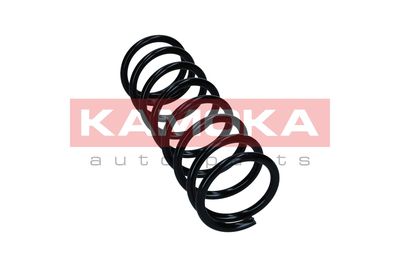 Suspension Spring KAMOKA 2120150