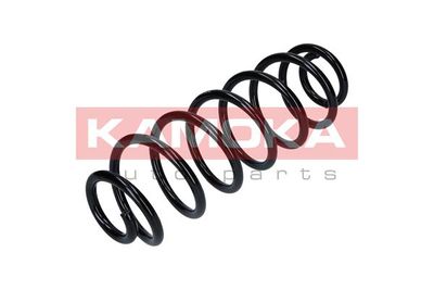 Suspension Spring KAMOKA 2120246
