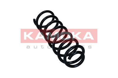 Suspension Spring KAMOKA 2120584