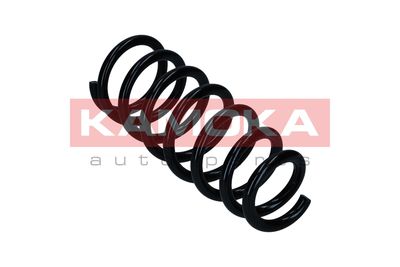 Suspension Spring KAMOKA 2120635
