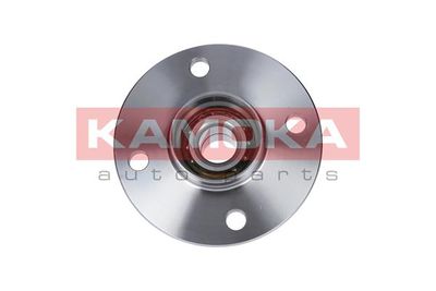 Wheel Bearing Kit KAMOKA 5500010