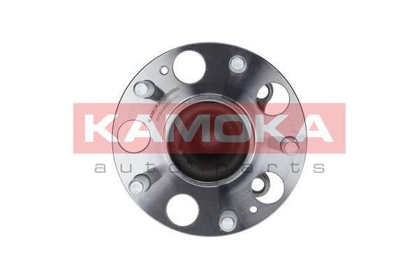 KAMOKA 5500096 Wheel Bearing Kit