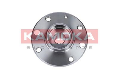 Wheel Hub KAMOKA 5500103