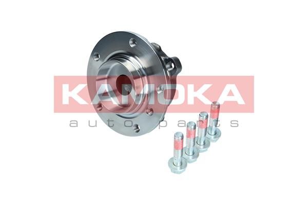 KAMOKA 5500132 Wheel Bearing Kit