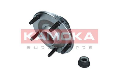 Wheel Bearing Kit KAMOKA 5500253