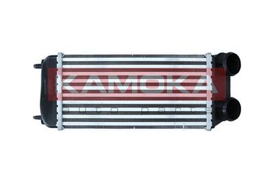 Charge Air Cooler KAMOKA 7750010