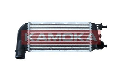 Charge Air Cooler KAMOKA 7750138