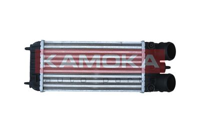 Charge Air Cooler KAMOKA 7750145