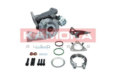 Charger, charging (supercharged/turbocharged) KAMOKA 8600037