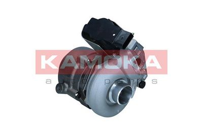 Charger, charging (supercharged/turbocharged) KAMOKA 8600067