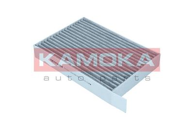 Filter, cabin air KAMOKA F519301