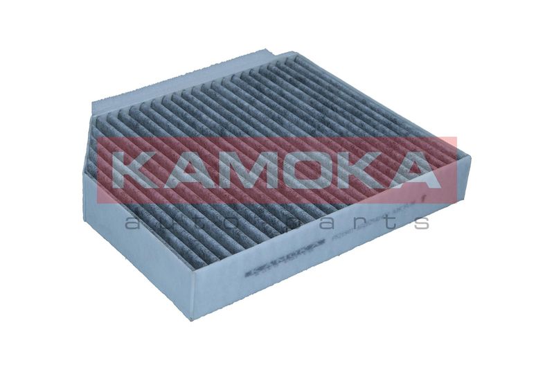 KAMOKA F520901 Filter, cabin air