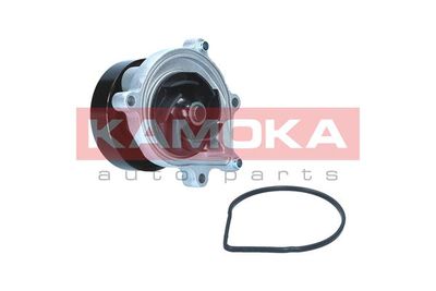 Water Pump, engine cooling KAMOKA T0299