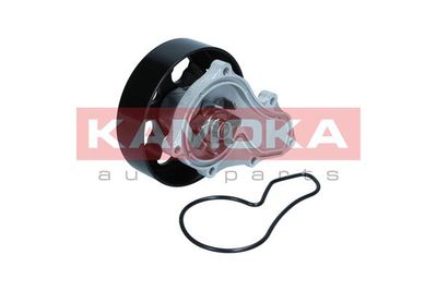 Water Pump, engine cooling KAMOKA T0304